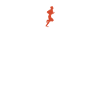 marathon