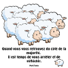 Les moutons de la majorité...