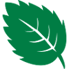 leaf leaf