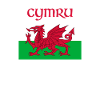 Wales 'Cymru' Welsh Flag proud te be Welsh Rugby T