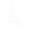Maorishark