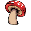 Conception de champignons de niveau supérieur