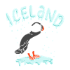 Iceland Puffins