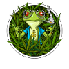 Frog Smoking Weed