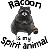 Raccoon - my spirit animal