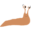 slug