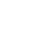 Parson Russell Terrier