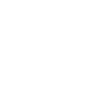 Terrier noir russe
