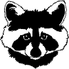 Waschbär Kopf schwarz weiss