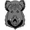 Wild boar head