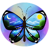 Blue Butterfly nature amazon
