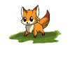 Fox red fox