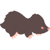 Mole