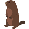 Marmot
