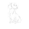 Dachshund