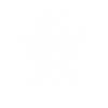Polynesian White Turtle