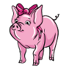 Illustration de cochon mignon