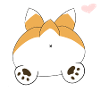 CORGI BUTT