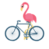 FLAMINGO BIKE