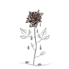 Gothic rose with tears