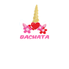 Bachata Einhorn