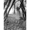 kind im wald u