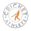 Cricket cricket