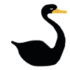 Black Swan Black Swan