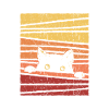 Black cat