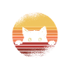 Black cat