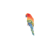 Parrot bird pulse rate gift