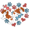 Cavalier King Charles Spaniel Chien