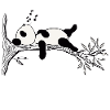 Panda géant cool