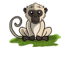 Monkey Monkey