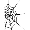 Spider's web