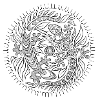 Mandala Geckos black