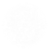 Mandala geckos white