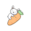Carrot Rabbit