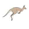 Kangaroo australia animal gift