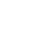 Vizsla Magyar Vizsla