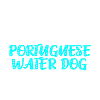 Portuguese Water Dog