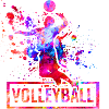 volleyball