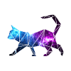 Galaxy Cat - Universe Cat