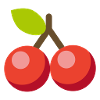Cherry cherries