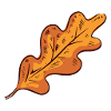 Fall leaf fall leaf