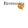Breznsoiza