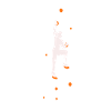 Conception de femmes de bloc