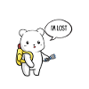 The bear is lost !