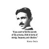 Nikola Tesla Quote