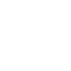 Pilot